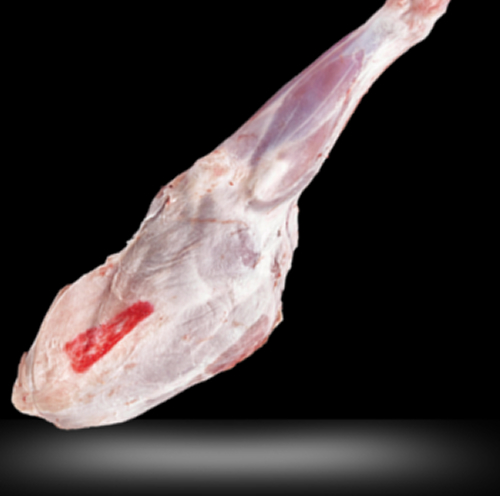 Carnes Congeladas Producto 12