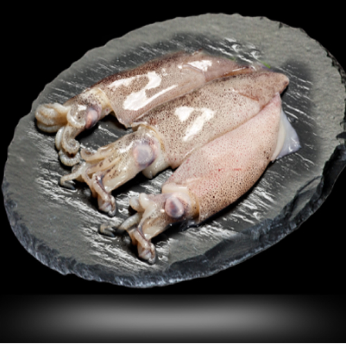 Congelados del Mar Producto 03