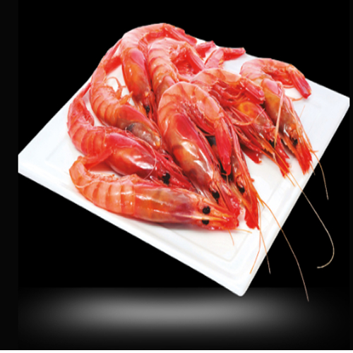 Congelados del Mar Producto 06