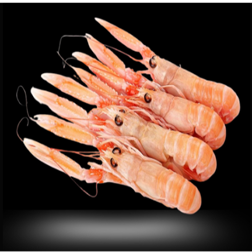 Congelados del Mar Producto 07