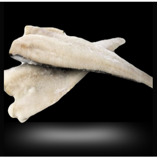 Congelados del Mar Producto 13