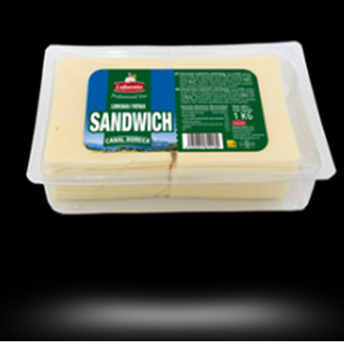 Quesos Fundidos y Preparados Lácteos Producto 08